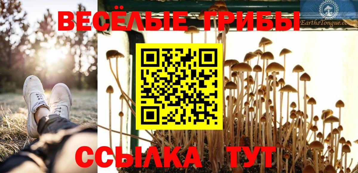 Псилоцибиновые грибы GOLDEN TEACHER  Вход с VPN  Галлюциногенные грибы Magic Shrooms  Удомля 